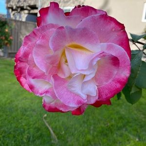 Meet your Posher, Joann